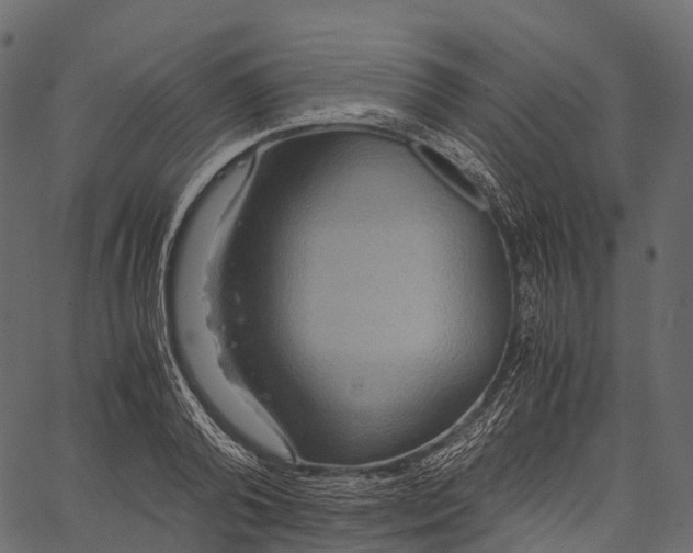 X0000062620792200601111033