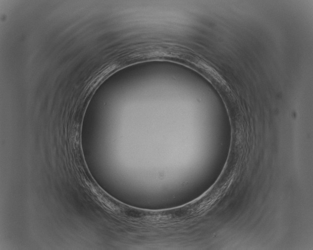 X0000062620793200601111033