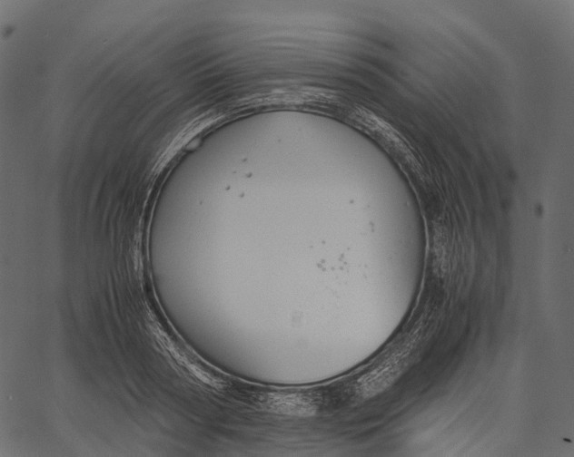 X0000062620794200601111033