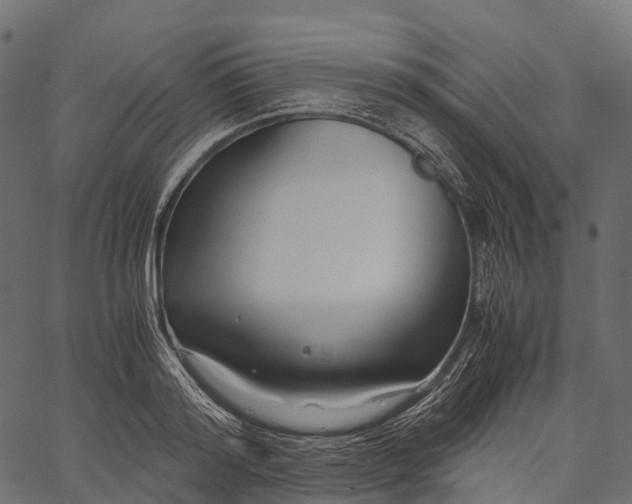 X0000062620796200601111033