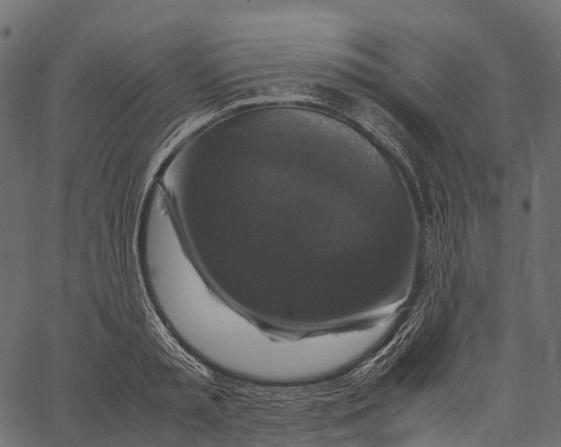 X0000062620797200601111033