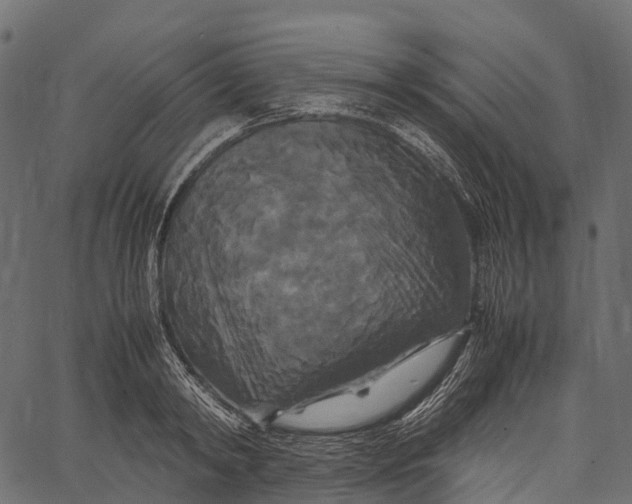 X0000062620798200601111033