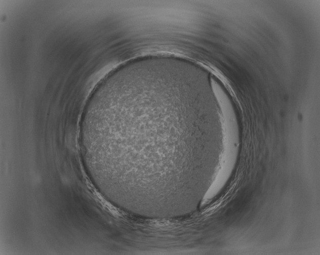 X0000062620799200601111033