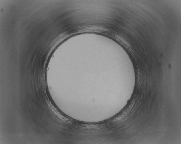 X0000062620800200601111033