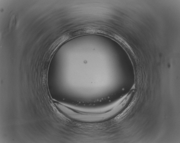 X0000062620801200601111033