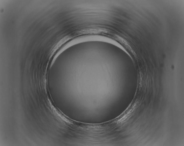 X0000062620802200601111033