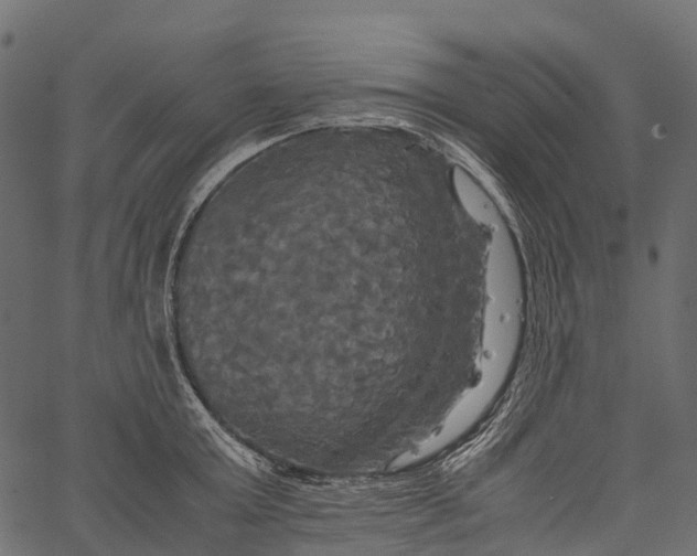 X0000062620803200601111033