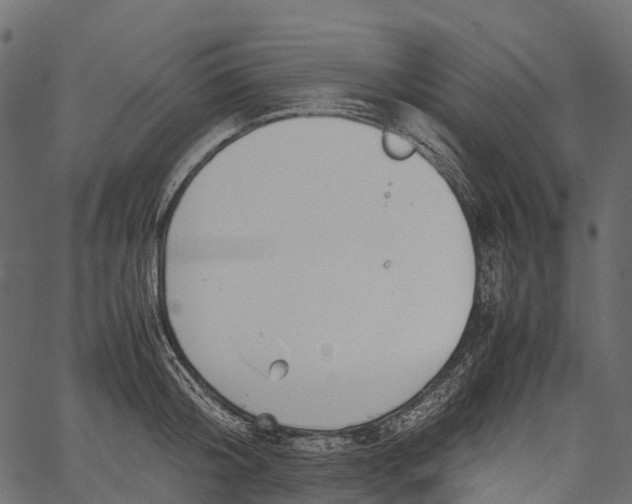 X0000062620804200601111033