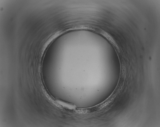 X0000062620805200601111033