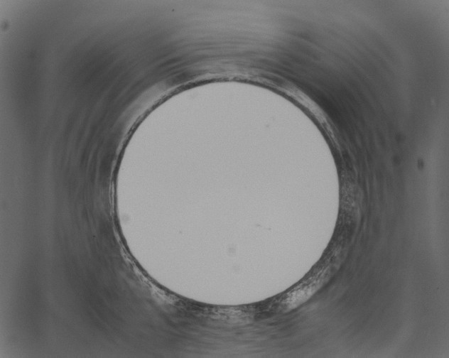 X0000062620807200601111033