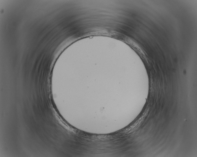 X0000062620808200601111033