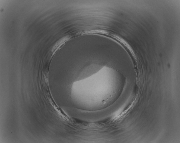 X0000062620809200601111033