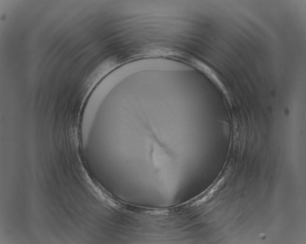 X0000062620810200601111033