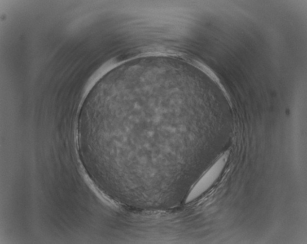 X0000062620811200601111033