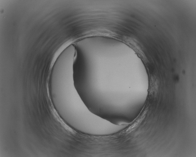 X0000062620812200601111032