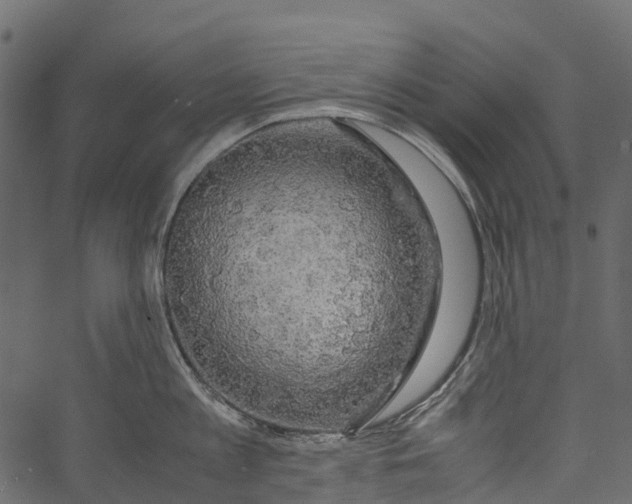 X0000062620813200601111032