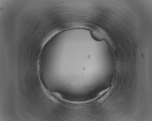 X0000062620814200601111032