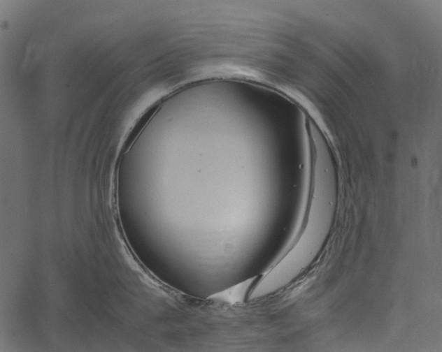 X0000062620815200601111032