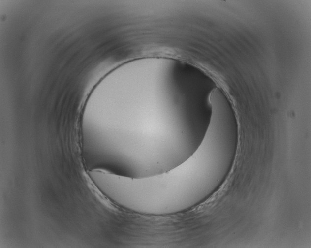 X0000062620816200601111032