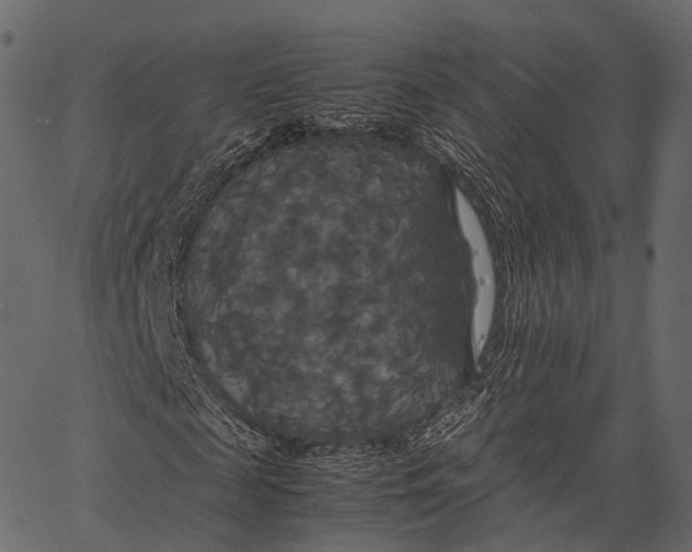 X0000062620817200601111032