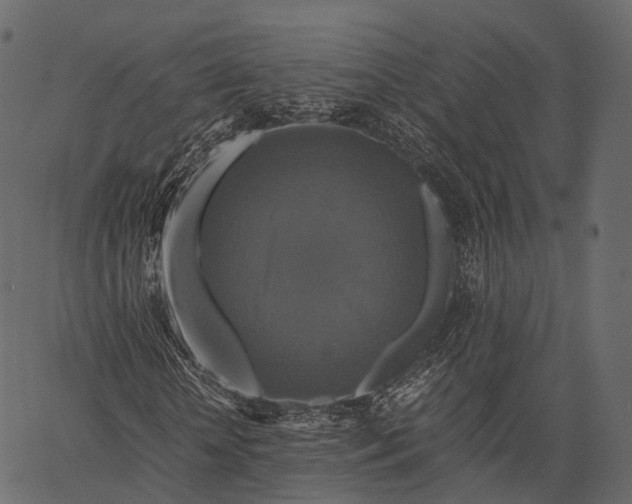 X0000062620818200601111032