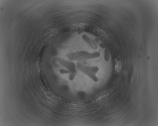 X0000062620819200601111032