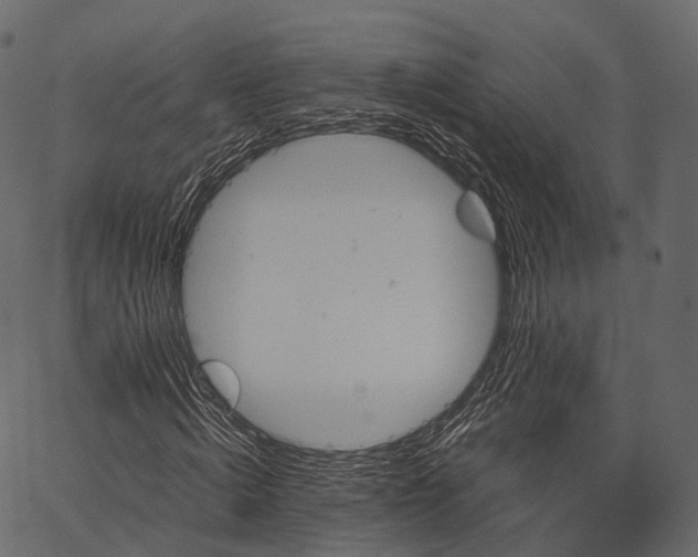 X0000062620820200601111032