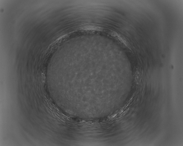 X0000062620821200601111032