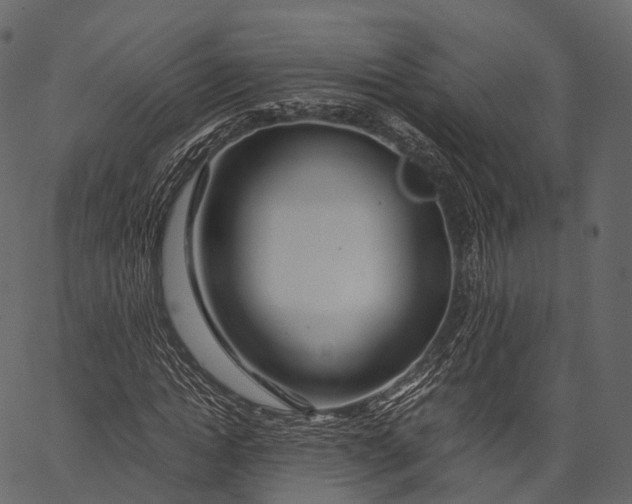 X0000062620822200601111032