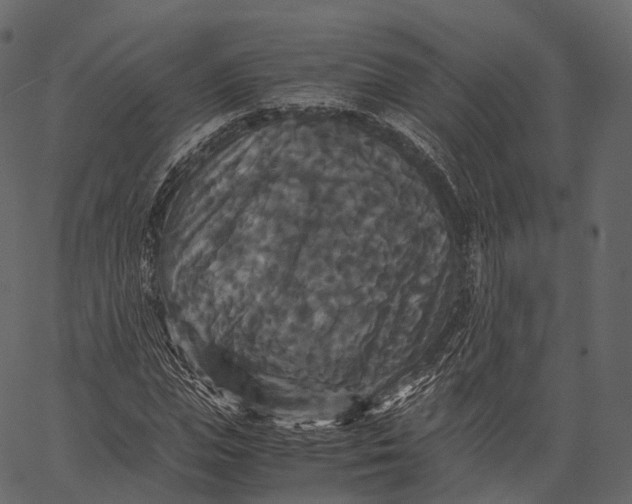 X0000062620823200601111032