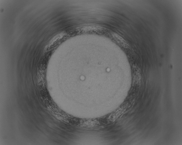 X0000062620824200601111032