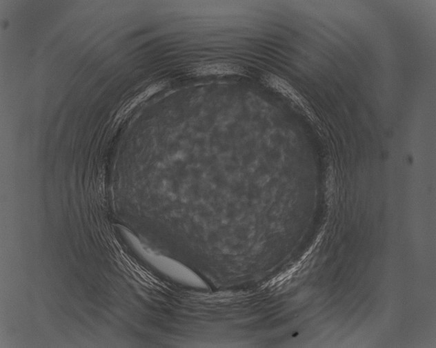 X0000062620825200601111032