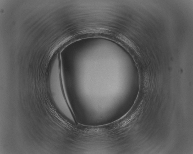 X0000062620826200601111032