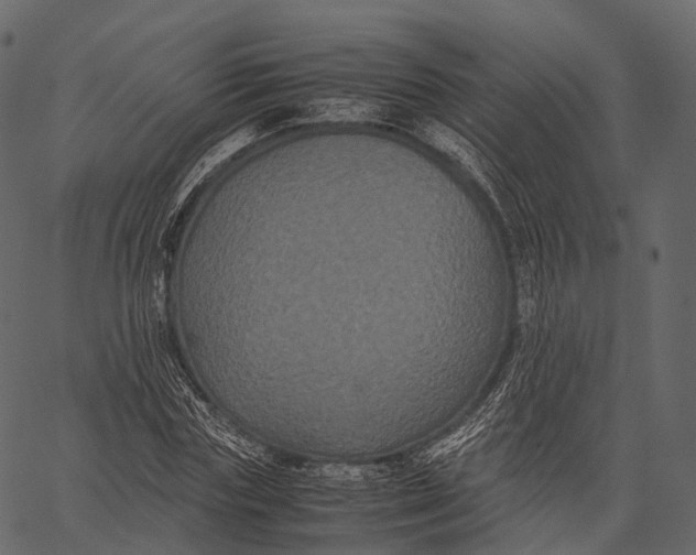 X0000062620827200601111032