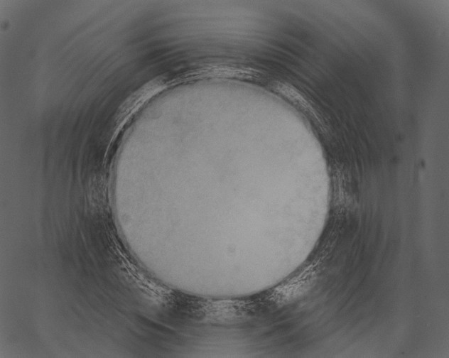 X0000062620828200601111032