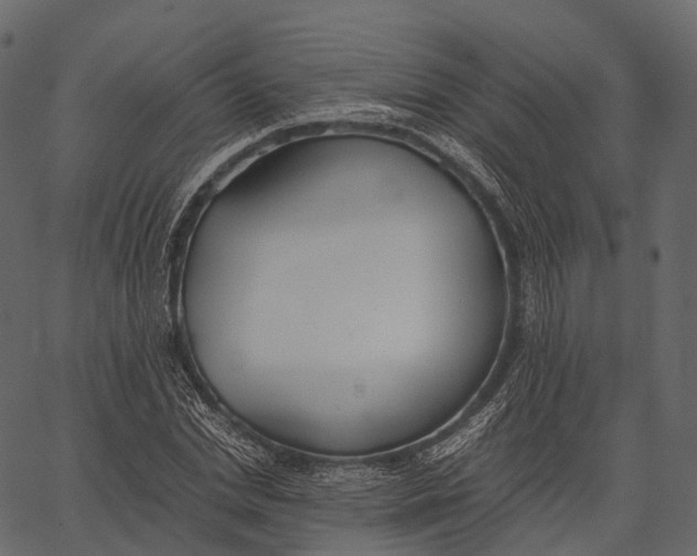 X0000062620830200601111032