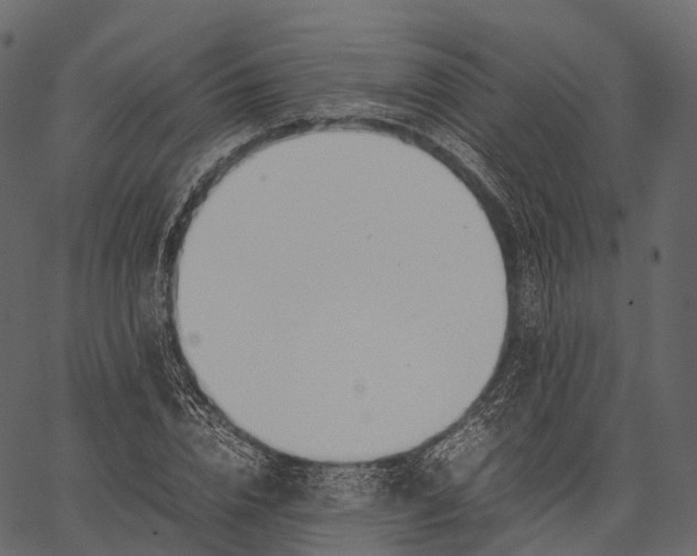 X0000062620832200601111032