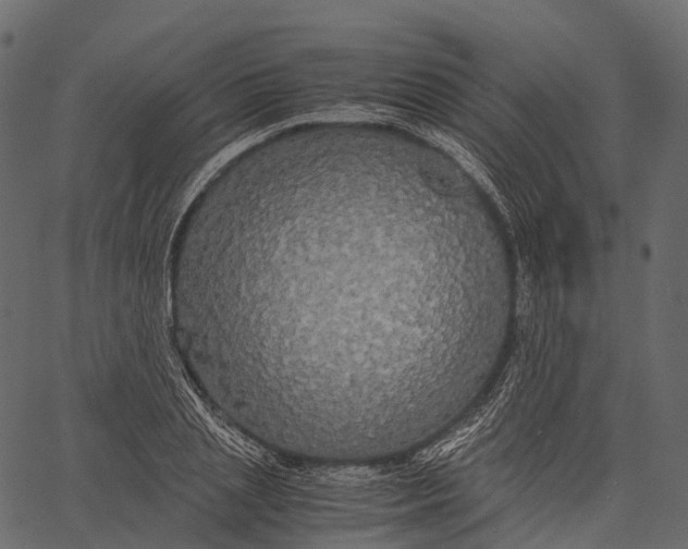 X0000062620837200601111032