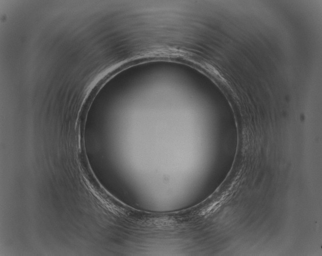 X0000062620838200601111032