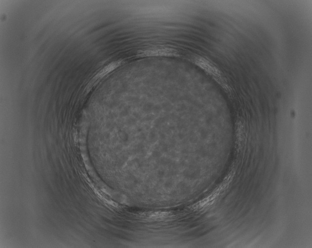 X0000062620841200601111032