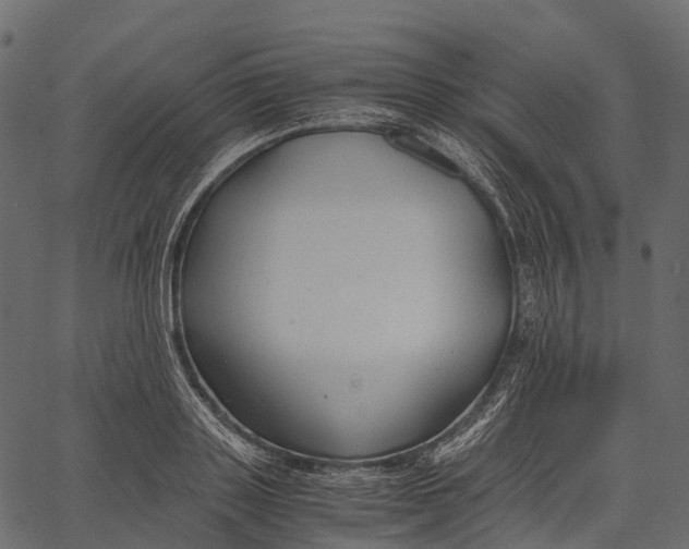 X0000062620843200601111032