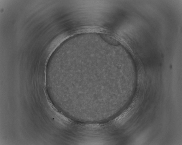 X0000062620844200601111032