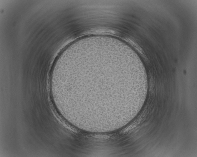 X0000062620848200601111032