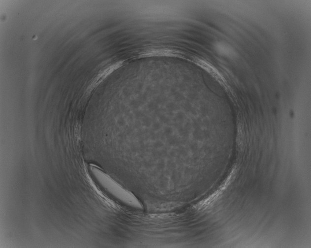 X0000062620849200601111032