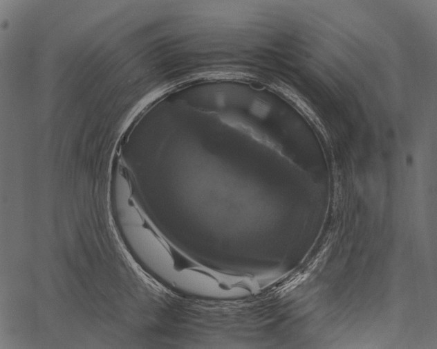 X0000062620853200601111032