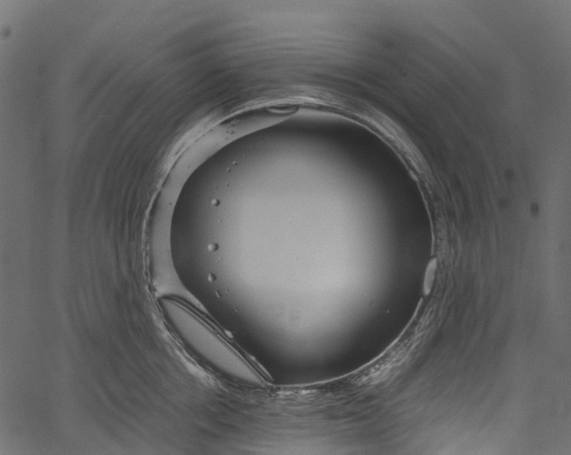 X0000062620858200601111032