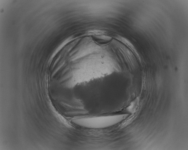 X0000062620859200601111032