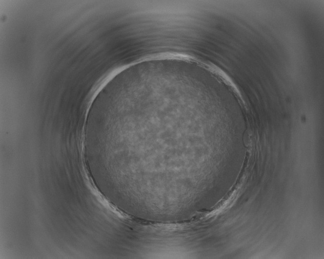 X0000062620860200601111032