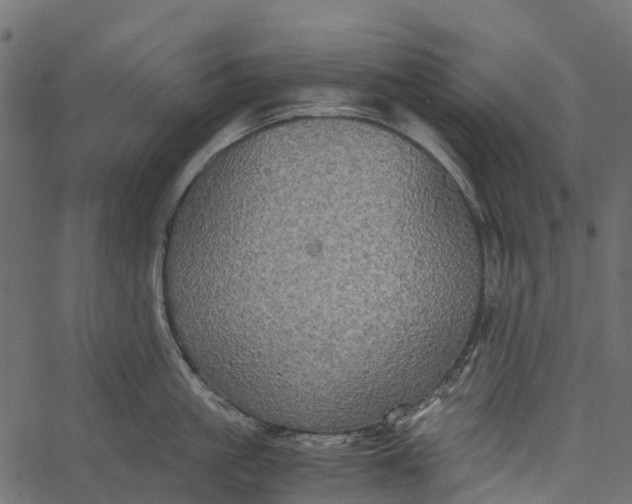 X0000062620861200601111032