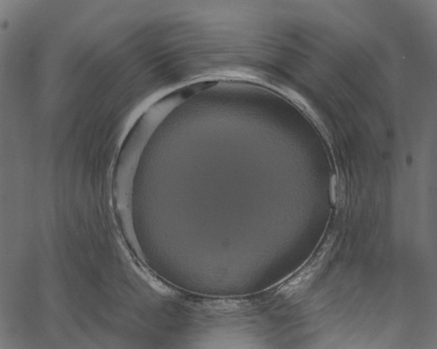 X0000062620862200601111032